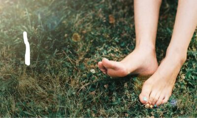 Stress, Blood Flow, and the Healing Power of Earthing