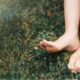 Stress, Blood Flow, and the Healing Power of Earthing